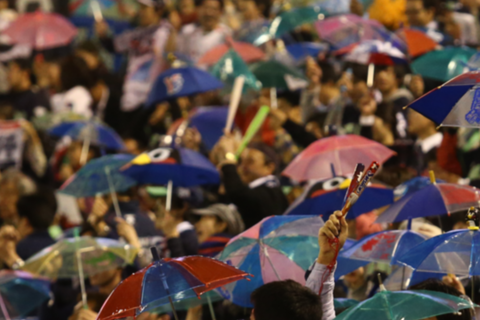 優勝記念グッズ｜CENTRAL LEAGUE CHAMPIONS 2015｜東京ヤクルト