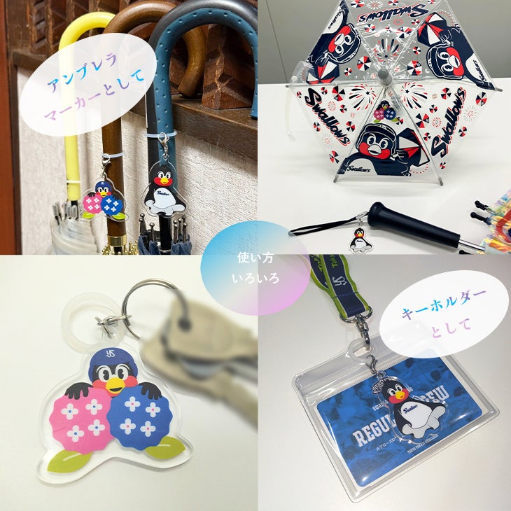 五月晴れフェスタ（サツキバレフェスタ） | 東京ヤクルトスワローズ