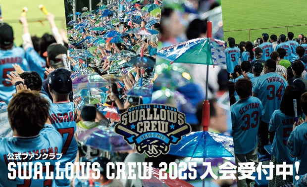 Swallows CREW