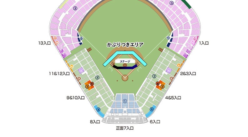 かぶりつきエリア