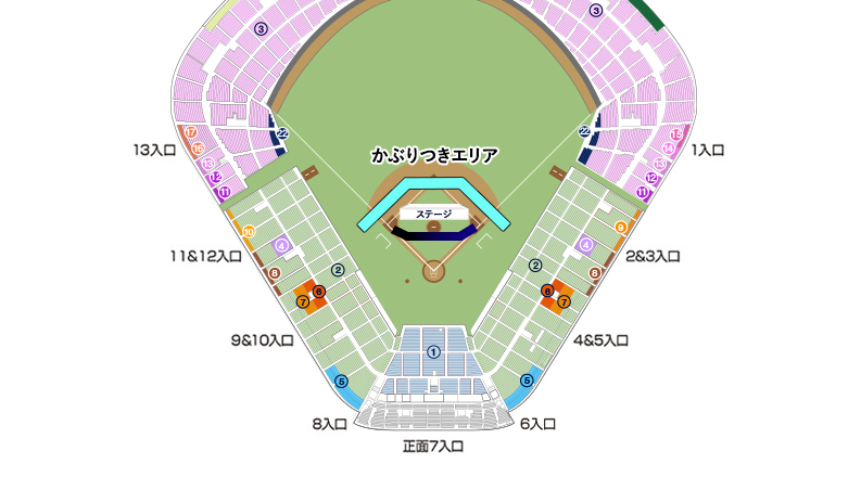 かぶりつきエリア