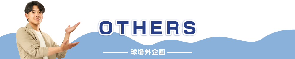 title_other