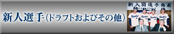 新人選手(ドラフト及びその他)