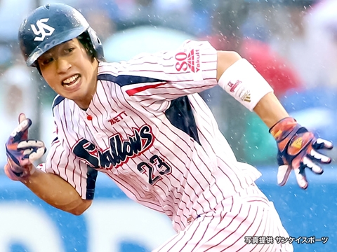 東京ヤクルトスワローズ公式サイト Tokyo Yakult Swallows